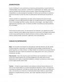 Estrategias, canales de distribucion y estrategias de mercadeo