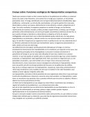 Ensayo sobre: Funciones ecológicas de hiperparásitos zoosporicos.