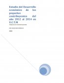 Estudio del desarrollo económico de los pequeños contribuyentes