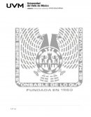 Habil y estrategias de aprenzaje act integradora 1