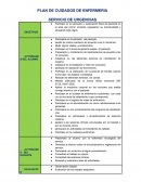 PLAN DE CUIDADOS DE ENFERMERIA SERVICIO DE URGENCIAS