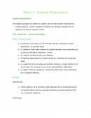 La constitución del Sistema Respiratorio