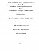 Resumen de la obra “Los cachorros” y Análisis Psicológico