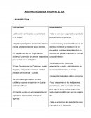 AUDITORIA DE GESTION A HOSPITAL EL SUR