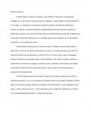 La Renta Básica se trata de un ingreso que el Banco Central