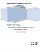 Mecanismos neurales de la atencion