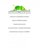 ANÁLISIS DE LA PROBLEMÁTICA NACIONAL “SITUACIÓN SOCIAL EN OAXACA Y GUERRERO”