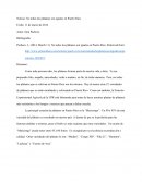 Noticia: No todos los plátanos son iguales en Puerto Rico