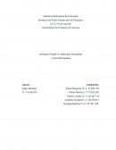 Ventilador Portátil con Materiales Reciclables