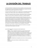 Efecto de Halo y División de trabajo