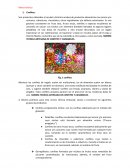 NORMA TECNICA ARTESANA DE CONFITES Y CARAMELOS