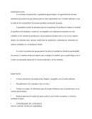 Los sistemas silvopastoriles, la ganaderia agroecológica y la agroforesteria