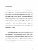 El análisis del tema que nos ocupa, es de de gran interés en el estudio del nuevo Sistema penal principalmente