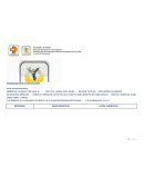 JERARQUIZACION DE NECESIDADES