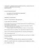 ANÁLISIS DE LAS IMPORTACIONES DE BIENES DE CAPITAL