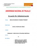 IDEA DE NEGOCIO “MUNDO FROZEN”