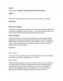 CONTROL ELECTRONICO DE AVION A ESCALA