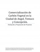 Proyecto Carbón Vegetal en la Ciudad de Angol, Temuco y Concepción