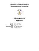 Pedro Páramo es un libro escrito por Juan Rulfo que fue publicado en el año 1955 y es considerado uno de los mejores libros del siglo XX.