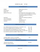 OTRO EJEMPLO DE CURRICULUM VITAE