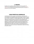 Qué es la demanda, factores y características