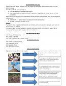 LOS MIGRANTES EN EL 2013