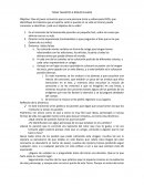 TALENTOS E ÍDOLOS FALSOS