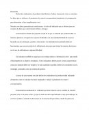 Definir dos indicadores de productividad distintos