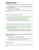 Actividad de páginas web