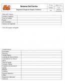 Auditoria informática: Formato de Resguardo