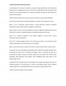 Evolución del distema educativo superior