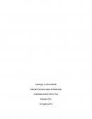 Liderazgo y comunicación.COMUNICACIÓN EFECTIVA