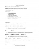 Encuestas Objetivo: Determinar qué importancia tiene la mujer en la Institución.