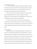 PRODUCTO BRUTO INTERNO CARACTERÍSTICAS