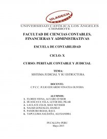 PERITAJE CONTABLE Y JUDICIAL.. Página 1