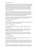 Emprendimiento: Orígen