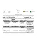 VALORES QUE SE PROMUEVEN DURANTE LAS ACTIVIDADES PROPUESTAS