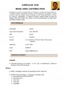EJEMPLO DE CURRRICULUM VITAE