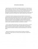 INTELIGENCIA EMOCIONAL. ANATOMIA DE UN SECUESTRO EMOCIONAL