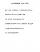 DERECHO PROCESAL LABORAL. APUNTES DEL CUATRIMESTRE