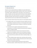 El camino del guerrero.