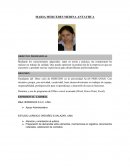 Curriculum vitae, Estudiante de derecho.