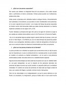 ¿Qué son las penas corporales?