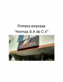 Caso de Hormas S.A de C.V