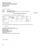 FACTURA POR SERVICIOS PROFESIONALES