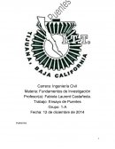 Ingeniería Civil Materia: Fundamentos de Investigación