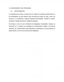 ¿CÓMO AFECTA, LAS ACTIVIDADES SOCIOECONOMICAS EN LA CONTAMINACIÓN DEL RÍO TEQUISISTLÁN EN LA COMUNIDAD DE MAGDALENA TEQUISISTLÁN?