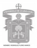 OPERACIONES BASICAS EN LA INDUSTRIA ALIMENTARIA