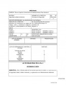 PRACTICA 1 -SEGURIDAD Y MEDIO AMBIENTE