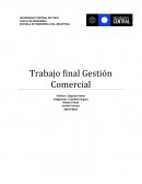 Gestión Trabajo final Gestión Comercial